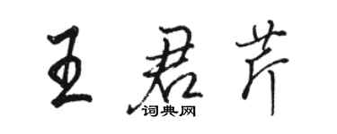 駱恆光王君芹行書個性簽名怎么寫