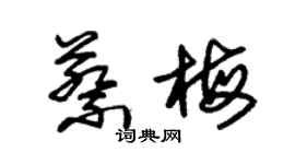 朱錫榮蔡梅草書個性簽名怎么寫