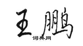 駱恆光王鵬行書個性簽名怎么寫