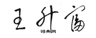 駱恆光王升富草書個性簽名怎么寫