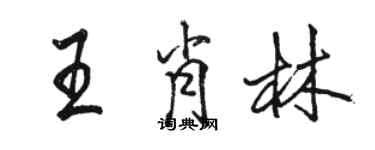 駱恆光王肖林行書個性簽名怎么寫
