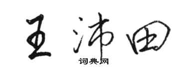 駱恆光王沛田行書個性簽名怎么寫