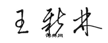 駱恆光王新林草書個性簽名怎么寫