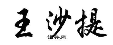 胡問遂王沙提行書個性簽名怎么寫