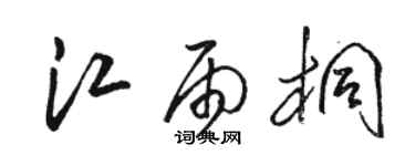 駱恆光江雨桐草書個性簽名怎么寫