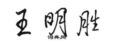 駱恆光王明勝行書個性簽名怎么寫