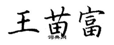 丁謙王苗富楷書個性簽名怎么寫