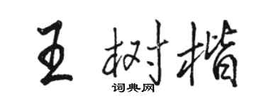 駱恆光王樹楷行書個性簽名怎么寫