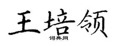 丁謙王培領楷書個性簽名怎么寫