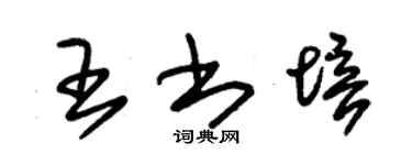 朱錫榮王書培草書個性簽名怎么寫