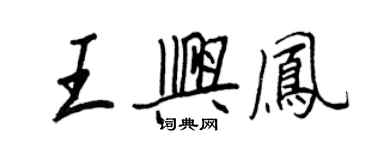 王正良王興鳳行書個性簽名怎么寫