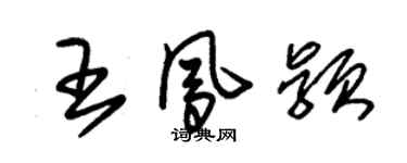 朱錫榮王鳳穎草書個性簽名怎么寫