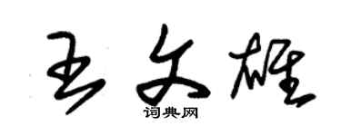 朱錫榮王文雄草書個性簽名怎么寫