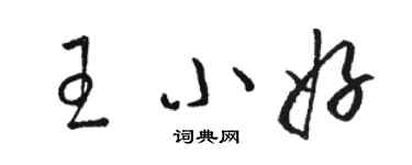 駱恆光王小好草書個性簽名怎么寫