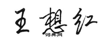 駱恆光王想紅行書個性簽名怎么寫