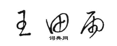 駱恆光王田雨草書個性簽名怎么寫