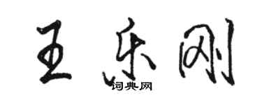 駱恆光王樂剛行書個性簽名怎么寫