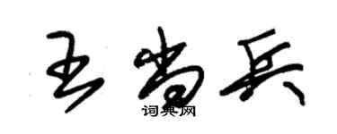 朱錫榮王尚兵草書個性簽名怎么寫