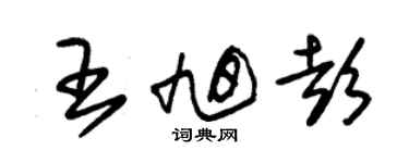 朱錫榮王旭彭草書個性簽名怎么寫
