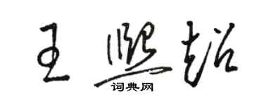 駱恆光王熙超草書個性簽名怎么寫