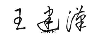 駱恆光王建漢草書個性簽名怎么寫