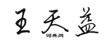 駱恆光王天益行書個性簽名怎么寫