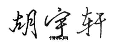 駱恆光胡宇軒行書個性簽名怎么寫