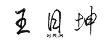 駱恆光王日坤行書個性簽名怎么寫