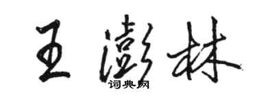 駱恆光王澎林行書個性簽名怎么寫
