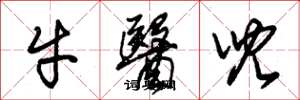 朱錫榮牛醫兒草書怎么寫