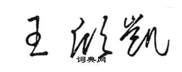 駱恆光王欣凱草書個性簽名怎么寫