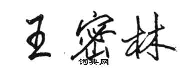 駱恆光王密林行書個性簽名怎么寫