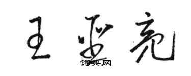 駱恆光王聖亮草書個性簽名怎么寫