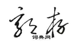 駱恆光郭存草書個性簽名怎么寫