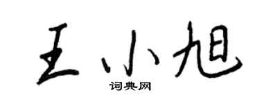 王正良王小旭行書個性簽名怎么寫