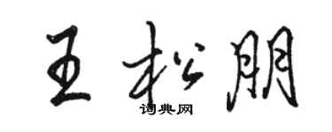 駱恆光王松朋行書個性簽名怎么寫