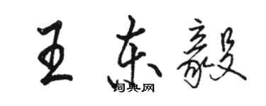 駱恆光王東毅行書個性簽名怎么寫