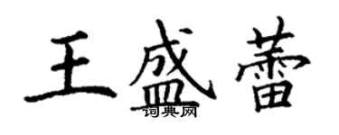 丁謙王盛蕾楷書個性簽名怎么寫