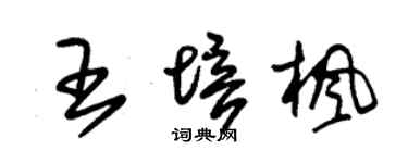 朱錫榮王培楓草書個性簽名怎么寫
