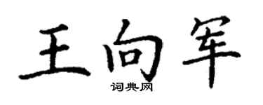 丁謙王向軍楷書個性簽名怎么寫