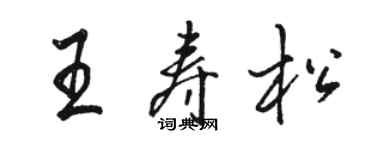駱恆光王壽松行書個性簽名怎么寫