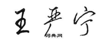 駱恆光王嚴寧行書個性簽名怎么寫