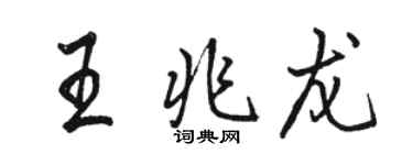 駱恆光王兆龍行書個性簽名怎么寫