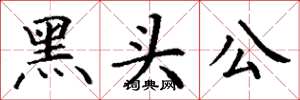 丁謙黑頭公楷書怎么寫