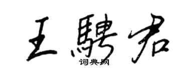 王正良王騁君行書個性簽名怎么寫