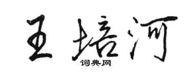 駱恆光王培河行書個性簽名怎么寫