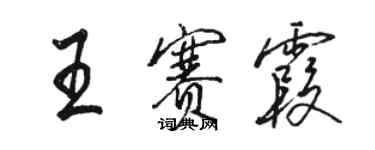 駱恆光王賽霞行書個性簽名怎么寫