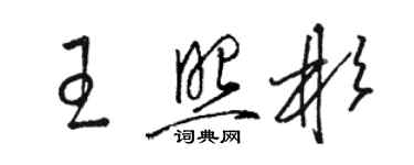 駱恆光王照彬草書個性簽名怎么寫