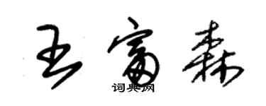 朱錫榮王富森草書個性簽名怎么寫