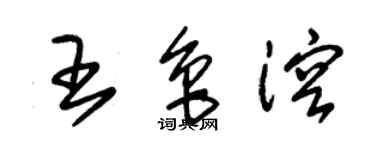 朱錫榮王魯溶草書個性簽名怎么寫